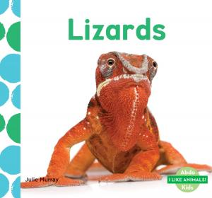 Cover of the book Lizards by Dotti Enderle
