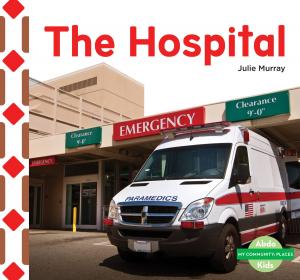 Cover of the book The Hospital by Julie Murray