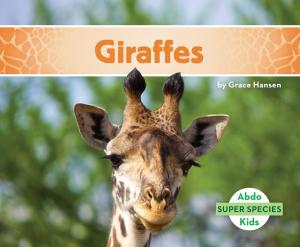 Cover of the book Giraffes by Grace Hansen