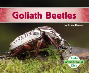 Cover of the book Goliath Beetles by Grace Hansen