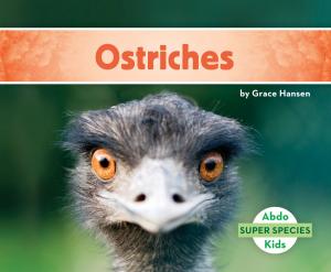 Cover of the book Ostriches by Jan Fields