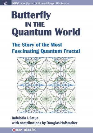Cover of the book The Butterfly in the Quantum World by Rhett Allain