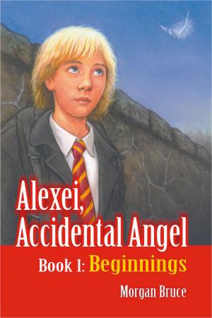 Cover of the book Beginnings by Steve Aranguren
