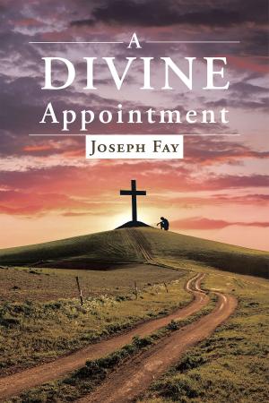 Cover of the book A Divine Appointment by Gabrielle Walton, Jennifer Walton