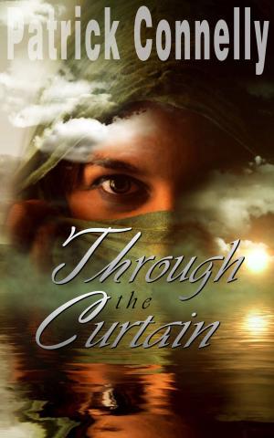 Cover of Through the Curtain