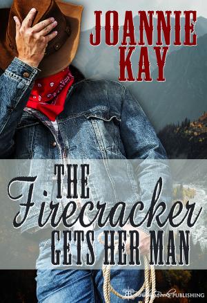Cover of the book The Firecracker Gets Her Man by Krystina Daryl
