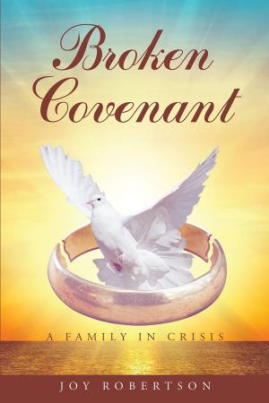 Cover of the book Broken Covenant by Melissa Castillo