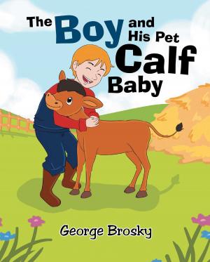 Cover of the book A Boy and His Pet Calf Baby by J.R. Strange Papa