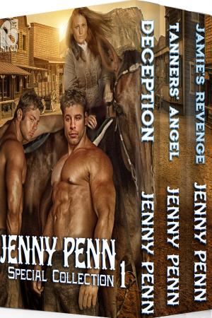 Cover of the book Jenny Penn Special Collection 1 by Chloe Lang