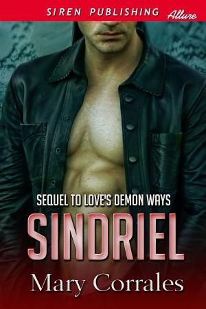 bigCover of the book Sindriel by 