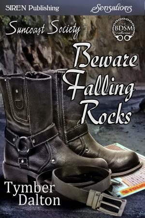 Cover of the book Beware Falling Rocks by Susan Napler