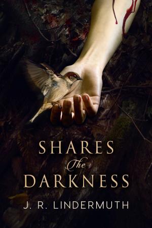Book cover of Shares the Darkness