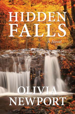 Cover of the book Hidden Falls by David McLaughlan