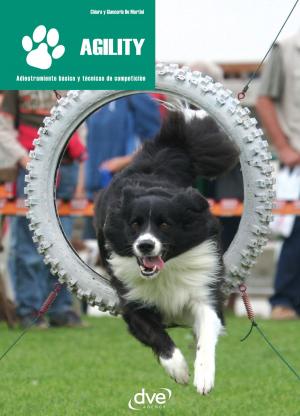 Cover of Agility