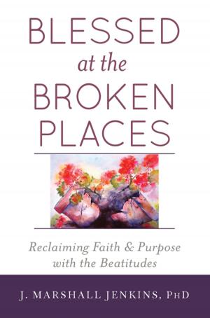 Cover of the book Blessed at the Broken Places by Burt Berkson, M.D., Ph.D., Arthur J. Berkson, M.D.
