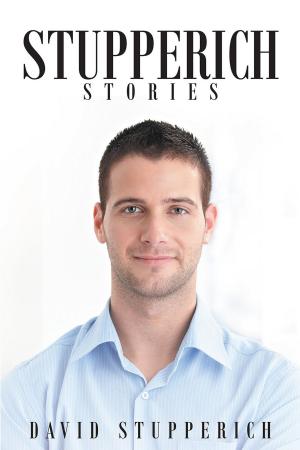 Cover of the book Stupperich Stories (The Revenge of Jake Mathews and Other Short Stories) by Heather Zimmer