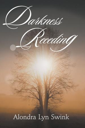 Cover of the book Darkness Receding by John Boshard