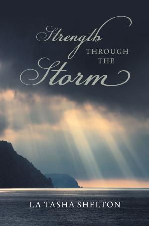 Cover of the book Strength through the Storm by John Boshard