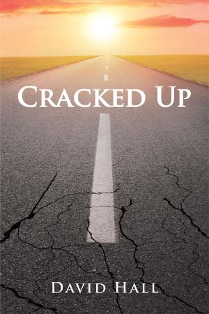 Book cover of Cracked Up
