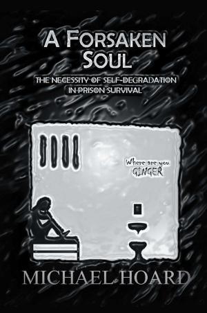 Cover of the book A Forsaken Soul by Nick Olsen