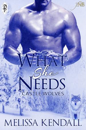 Cover of the book What She Needs (1Night Stand) by Abbie Zanders