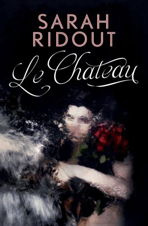 Book cover of Le Chateau