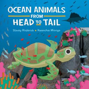 Book cover of Ocean Animals from Head to Tail