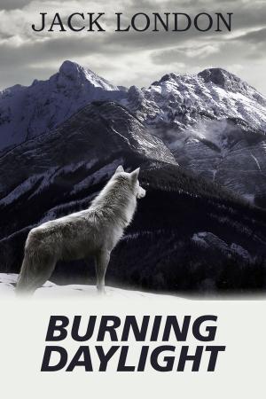 Book cover of Burning Daylight
