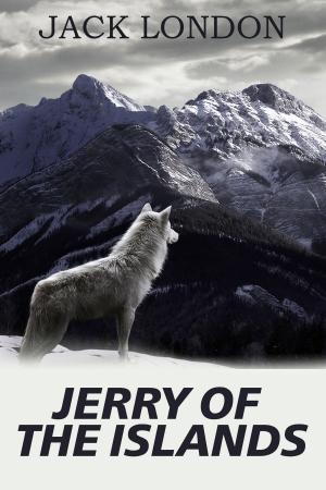 Book cover of Jerry of the Islands
