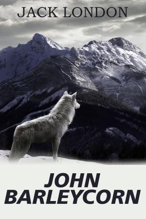 Cover of the book John Barleycorn by Романов, Александр