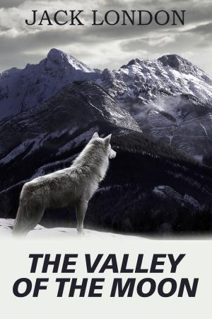 Cover of the book The Valley of the Moon by Colette, Sidonie-Gabrielle