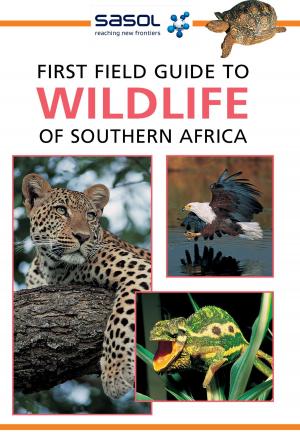 Cover of the book First Field Guide to Wildlife of Southern Africa by Danny Fourie