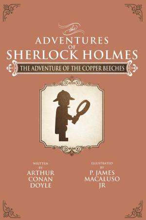 Book cover of The Adventure of the Copper Beeches