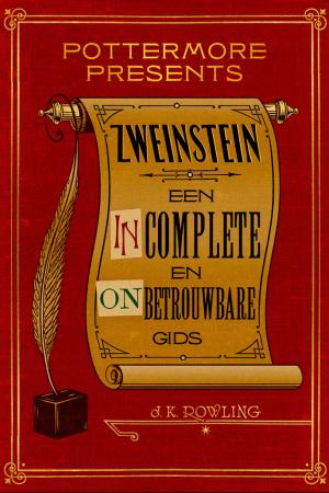 Book cover of Zweinstein: een incomplete en onbetrouwbare gids
