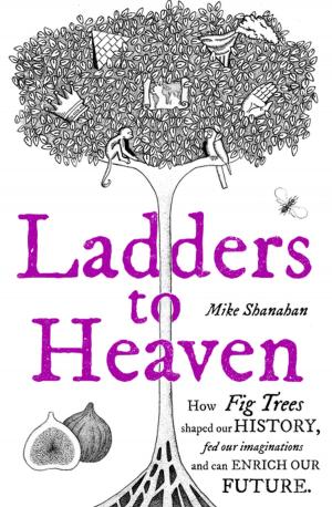 Book cover of Ladders to Heaven
