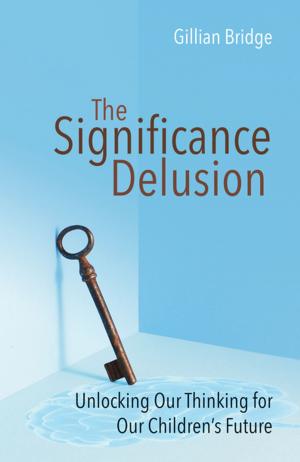 Cover of the book The Significance Delusion by Bruce King
