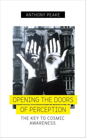 Cover of the book Opening the Doors of Perception by Osho