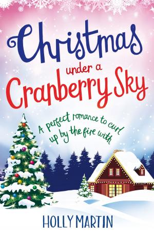 Cover of Christmas Under a Cranberry Sky