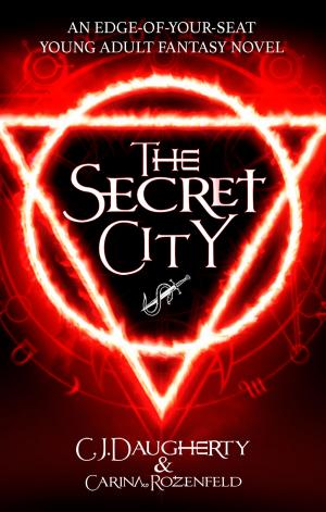 Book cover of The Secret City
