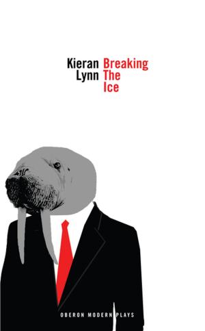 Cover of the book Breaking the Ice by Kieran Lynn