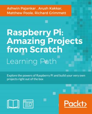 Book cover of Raspberry Pi: Amazing Projects from Scratch
