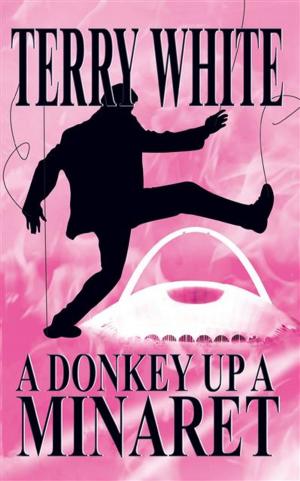 Cover of the book Donkey Up A Minaret by Terry White