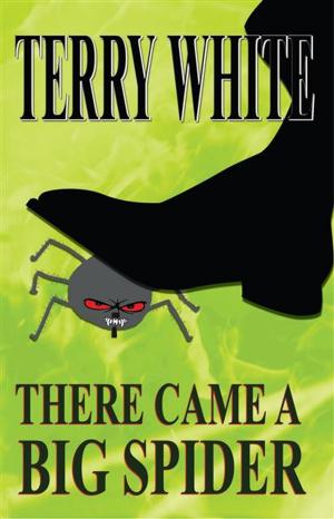 Cover of the book There Came A Big Spider by L. I. Webster