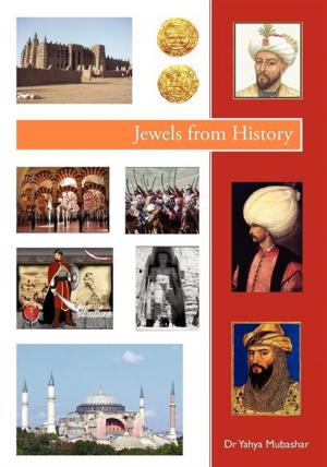 Cover of the book Jewels from History by Terry White