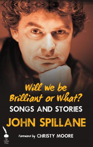 Cover of the book Will We Be Brilliant Or What?: Songs and Stories by Dan Liebman