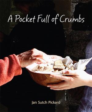 Cover of the book Pocket Full of Crumbs by J. Philip Newell