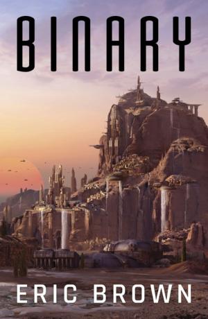 Cover of the book Binary by Michael Carroll