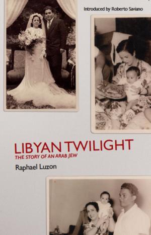 Cover of the book Libyan Twilight by Karen Solomon