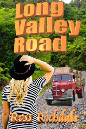 Book cover of Long Valley Road