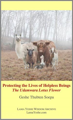 Cover of the book Protecting the Lives of Helpless Beings: The Udamwara Lotus Flower by Eric Van Horn